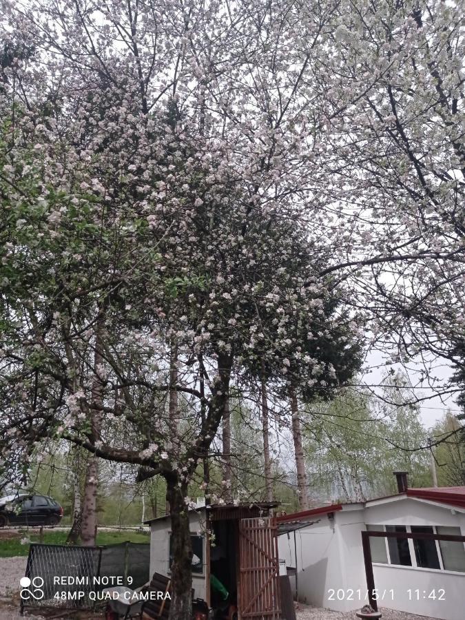 Ravne Apartman วิโซโค ภายนอก รูปภาพ